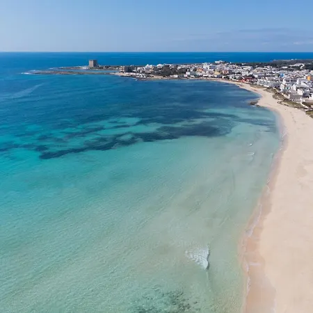 Paladini A 10 Mt Dal Mare Torre Lapillo